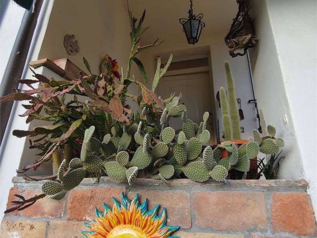 Casa indipendente a Cannara - Foto 5