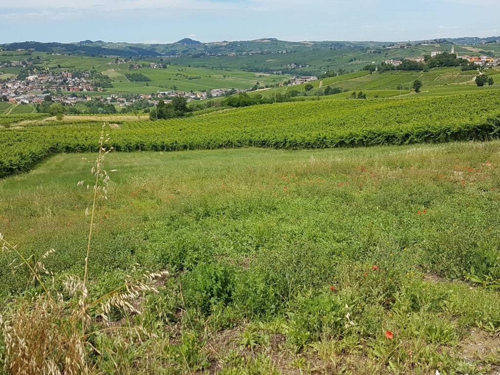 Rustico / casale a Santa maria della versa in Mosca, 3 - Foto 3