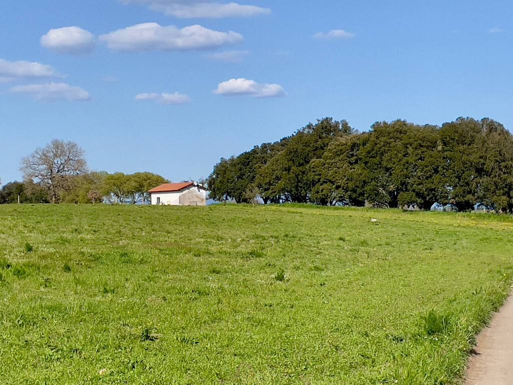 Casa indipendente a Viterbo in Strada Fastello - Foto 3