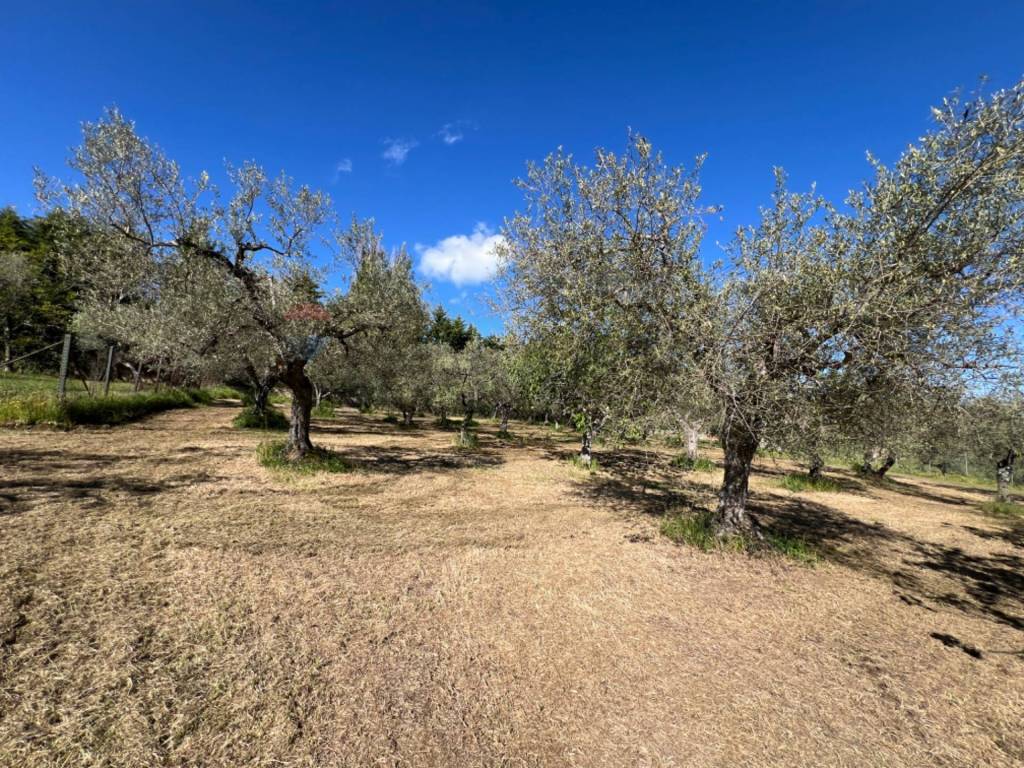 Casa indipendente a Venosa - Foto 5