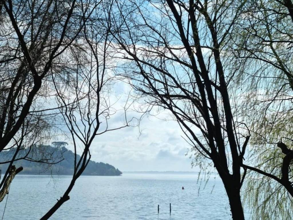 Villa a Trevignano romano in Strada Provinciale Settevene-Palo Prima - Foto 2