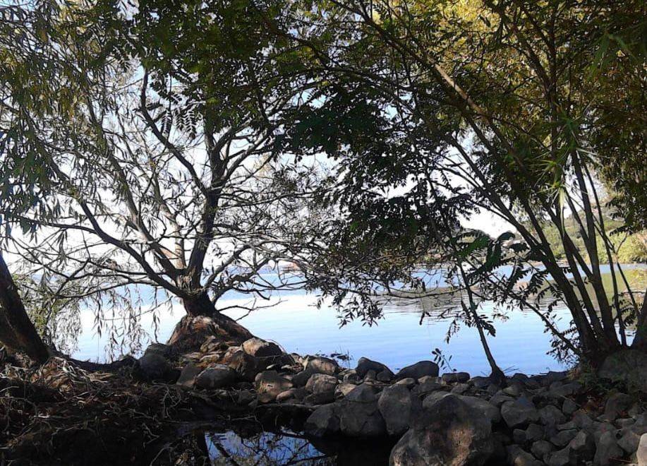 Villa a Trevignano romano in Strada Provinciale Settevene-Palo Prima - Foto 3