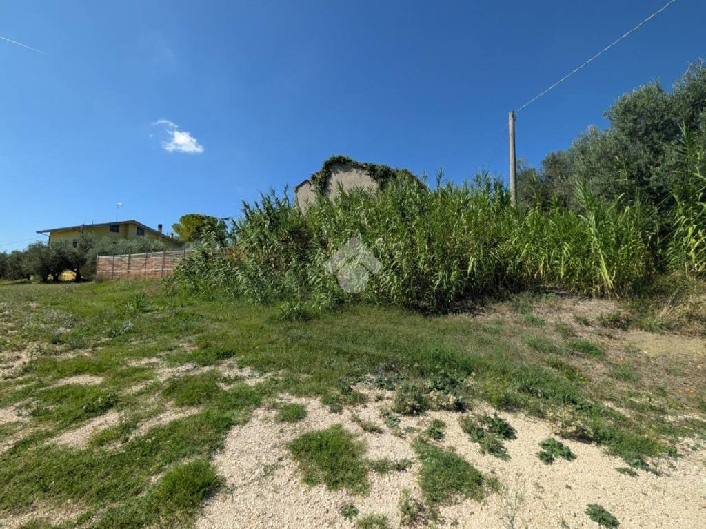 Rustico / casale a Coriano in Via ca ghigi, 25 - Foto 3