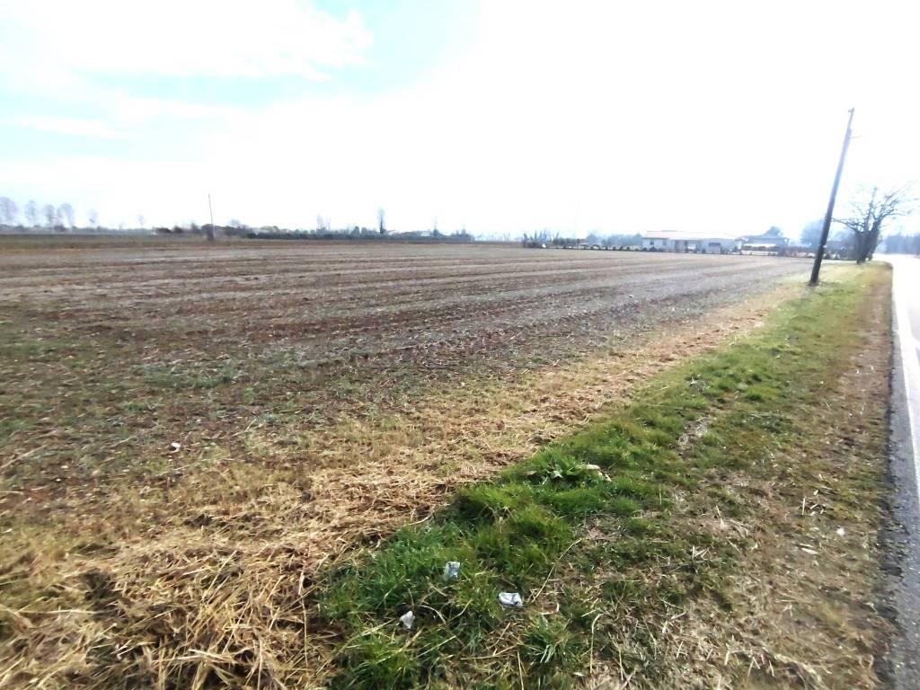 Terreno a Asolo in Via Loreggia - Foto 4