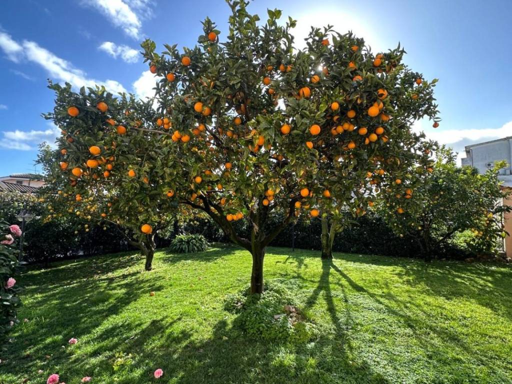 Appartamento a Pomezia in Via delle Gardenie, 24 - Foto 2
