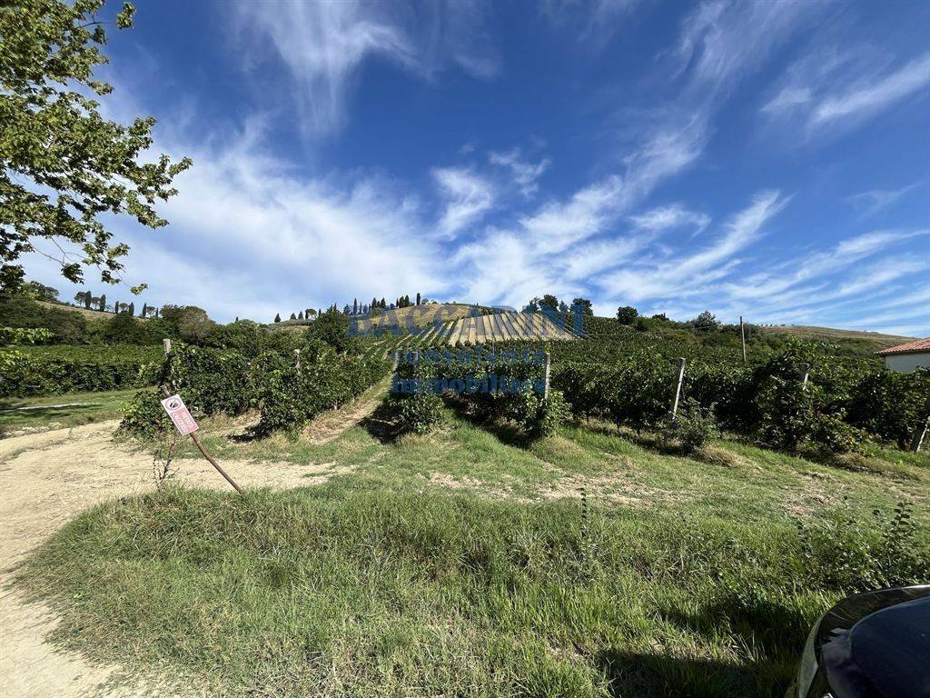 Terreno a Brisighella in VIA AGELLO, 21 - Foto 2