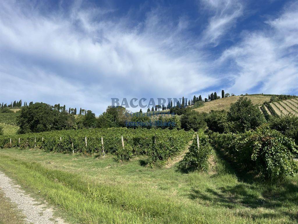 Terreno a Brisighella in VIA AGELLO, 21 - Foto 4