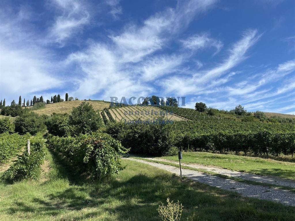 Terreno a Brisighella in VIA AGELLO, 21 - Foto 5