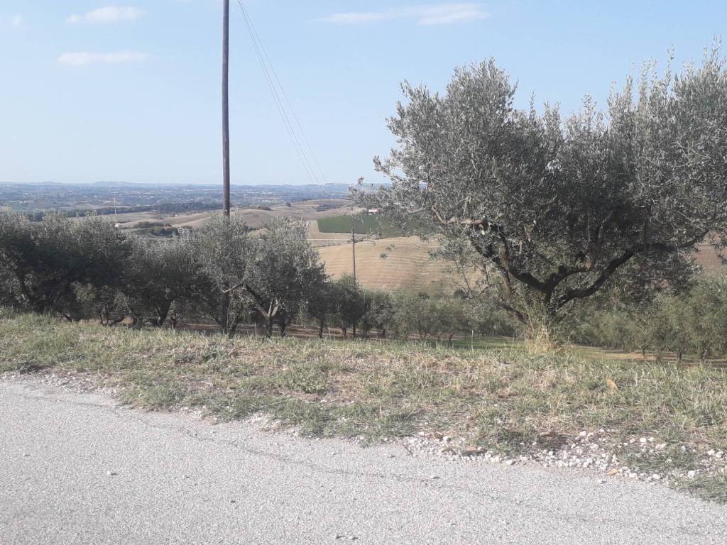 Terreno a Manoppello in Via Don Rocco D'Alessandro, 75 - Foto 5
