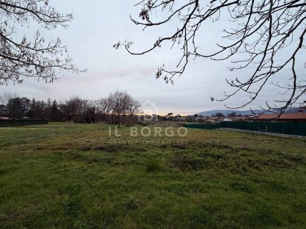 Terreno a Buggiano - Foto 2