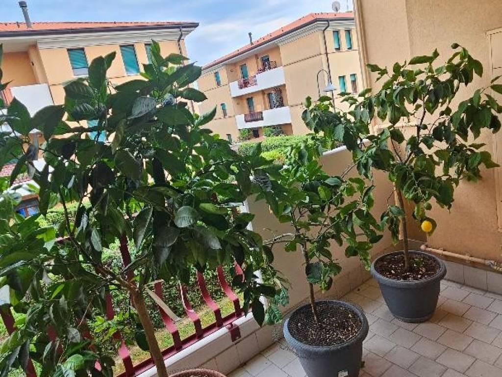 Appartamento a Albignasego - Foto 5