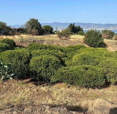 Terreno a Campo calabro in Campo Calabro - Foto 5