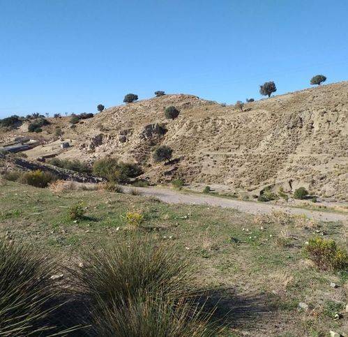 Terreno a San lorenzo in Marina Di San Lorenzo - Foto 4