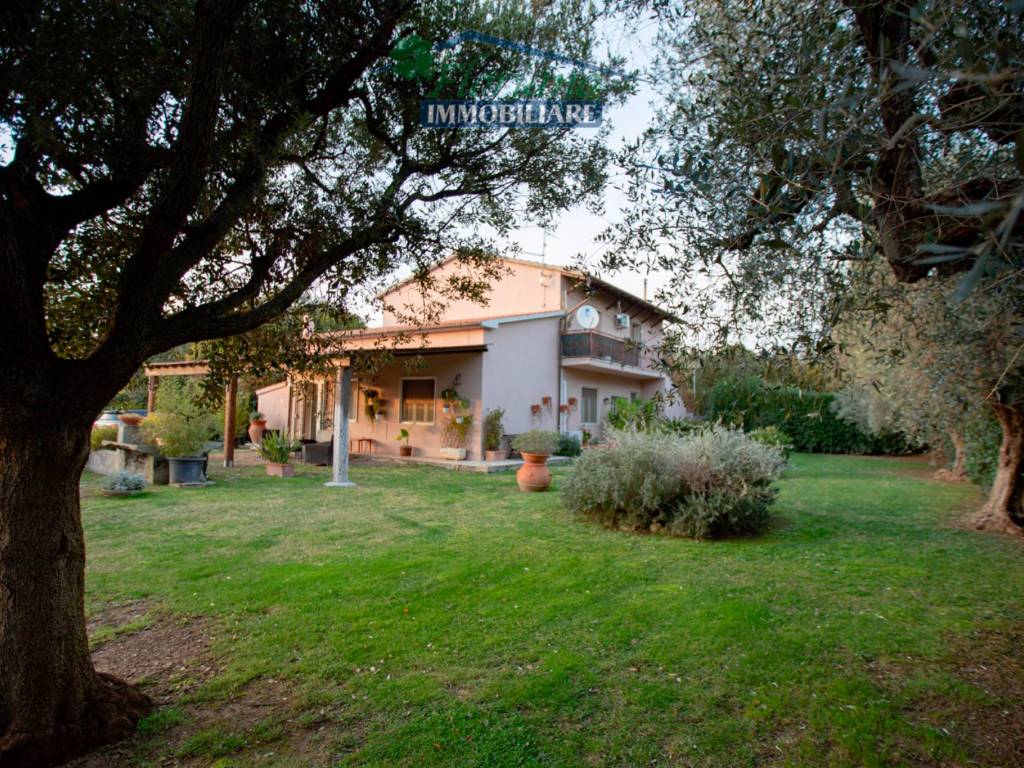 Rustico / casale a Capalbio in Strada del 33 - Foto 2