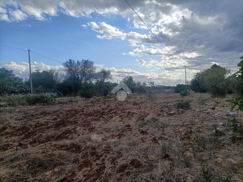 Terreno a Mola di bari in VIA TRULLI DEL MONACO - Foto 2