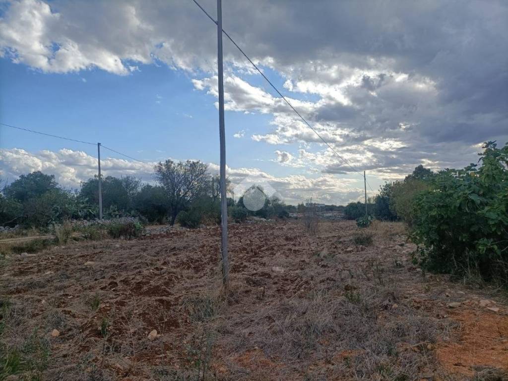 Terreno a Mola di bari in VIA TRULLI DEL MONACO - Foto 3
