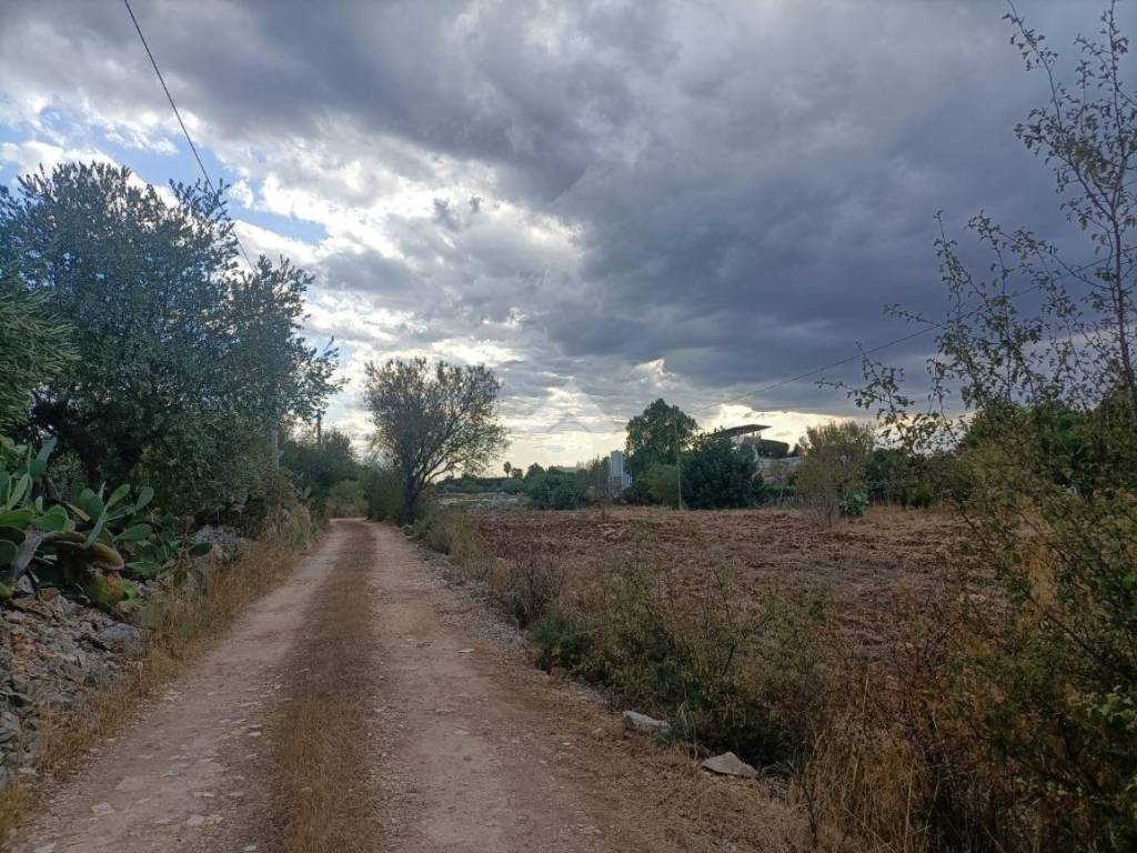 Terreno a Mola di bari in VIA TRULLI DEL MONACO - Foto 4