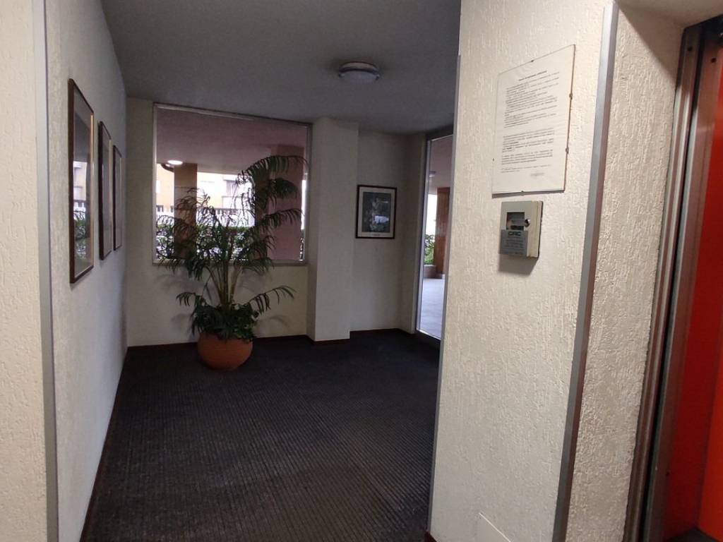 Appartamento a Novara in Via Pina Ballario, 15 - Foto 5