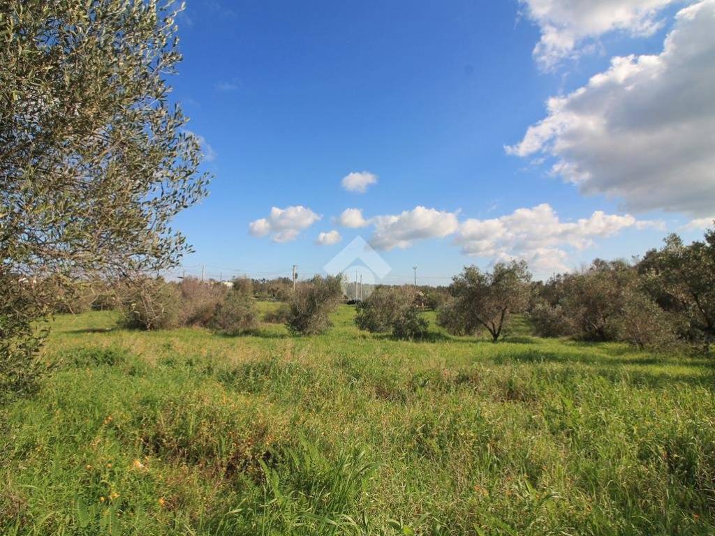 Rustico / casale a Ostuni - Foto 2