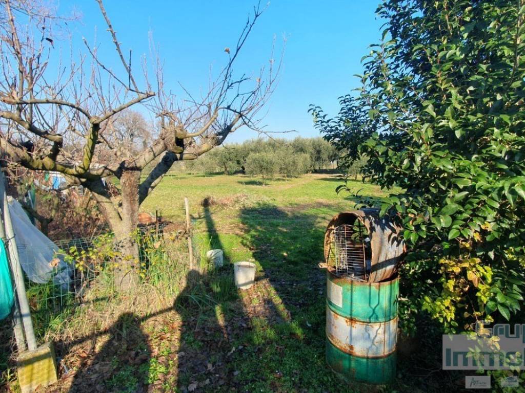 Terreno a Pesaro - Foto 4