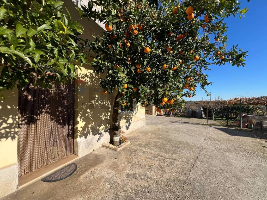 Rustico / casale a Fossacesia in Via San Silvestro, 92 - Foto 3