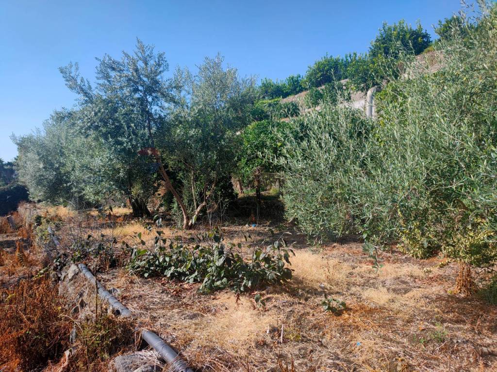 Terreno a Giarre in Strada 86 San Leonardello - Foto 3