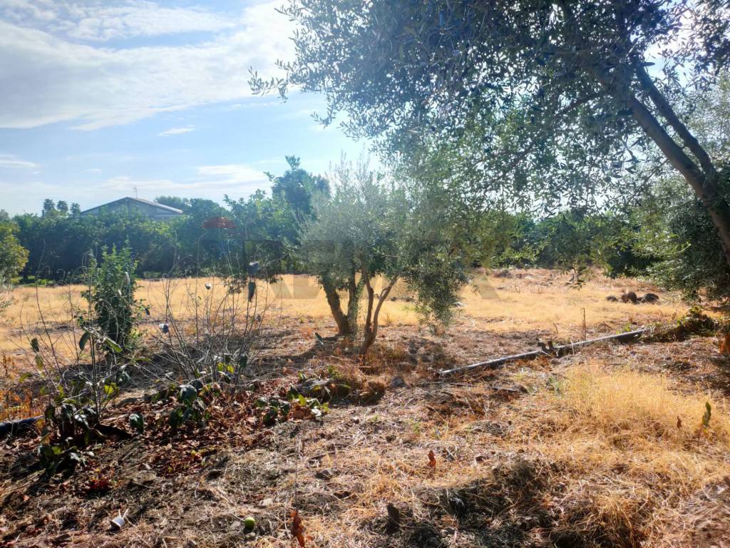 Terreno a Giarre in Strada 86 San Leonardello - Foto 4