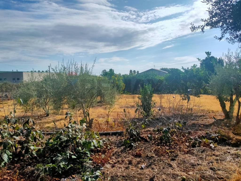 Terreno a Giarre in Strada 86 San Leonardello - Foto 5