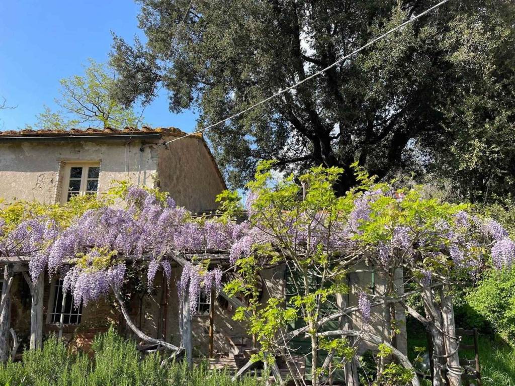 Rustico / casale a Montescudaio - Foto 2