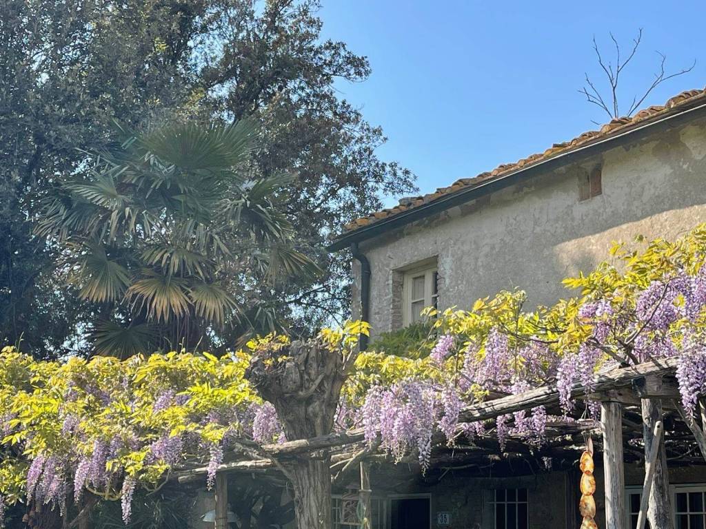 Rustico / casale a Montescudaio - Foto 3