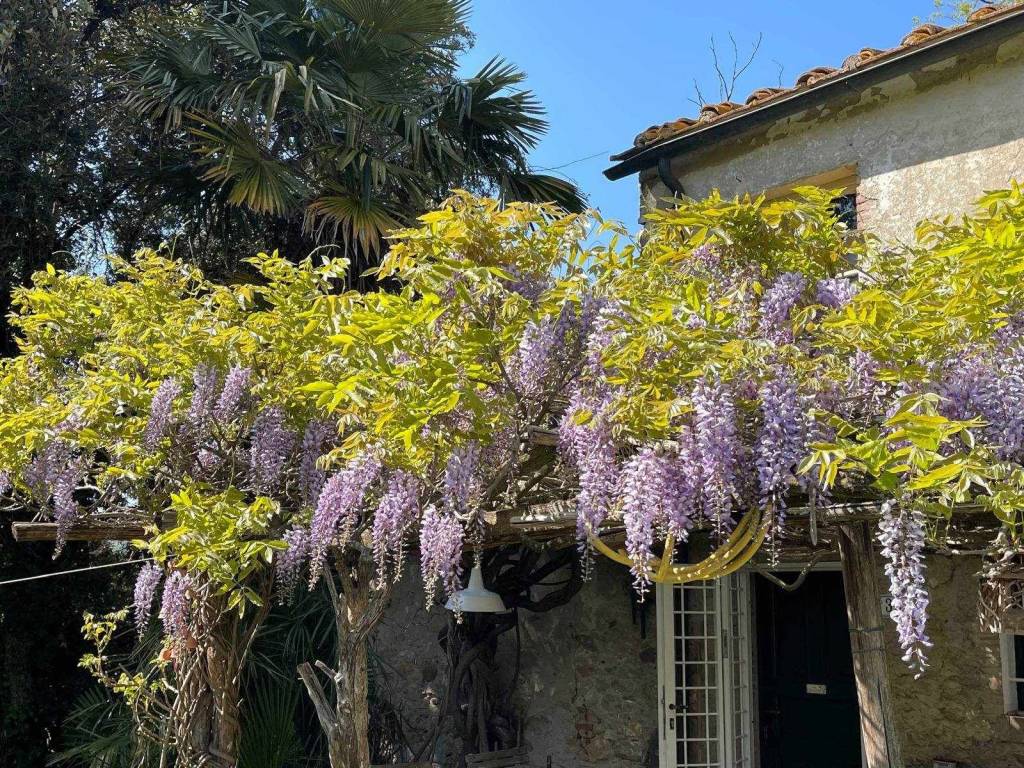 Rustico / casale a Montescudaio - Foto 5