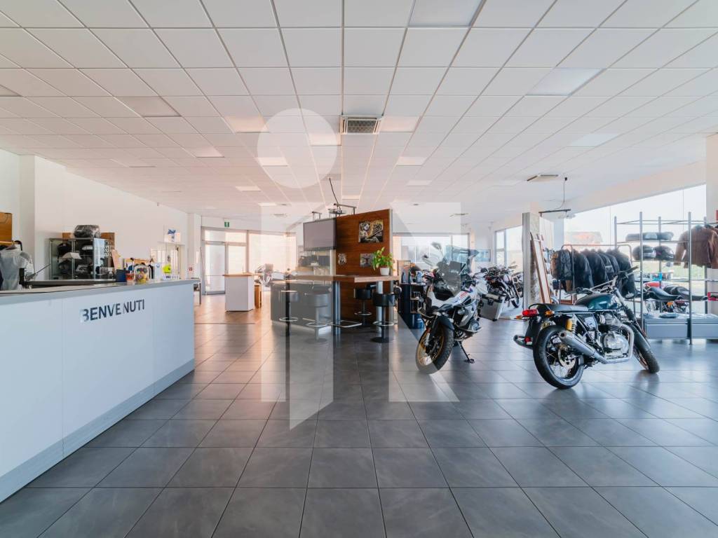 Immobile a Porto mantovano - Foto 3