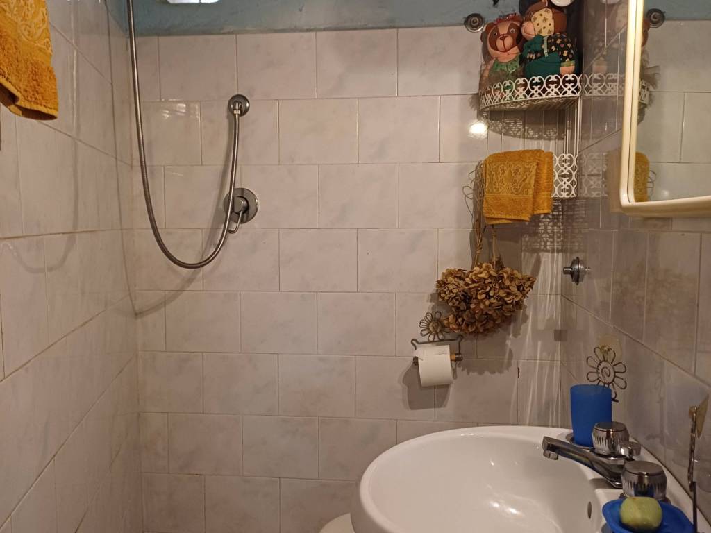 Loft / open space a Farnese in Via Giuseppe Mazzini, 238 - Foto 5