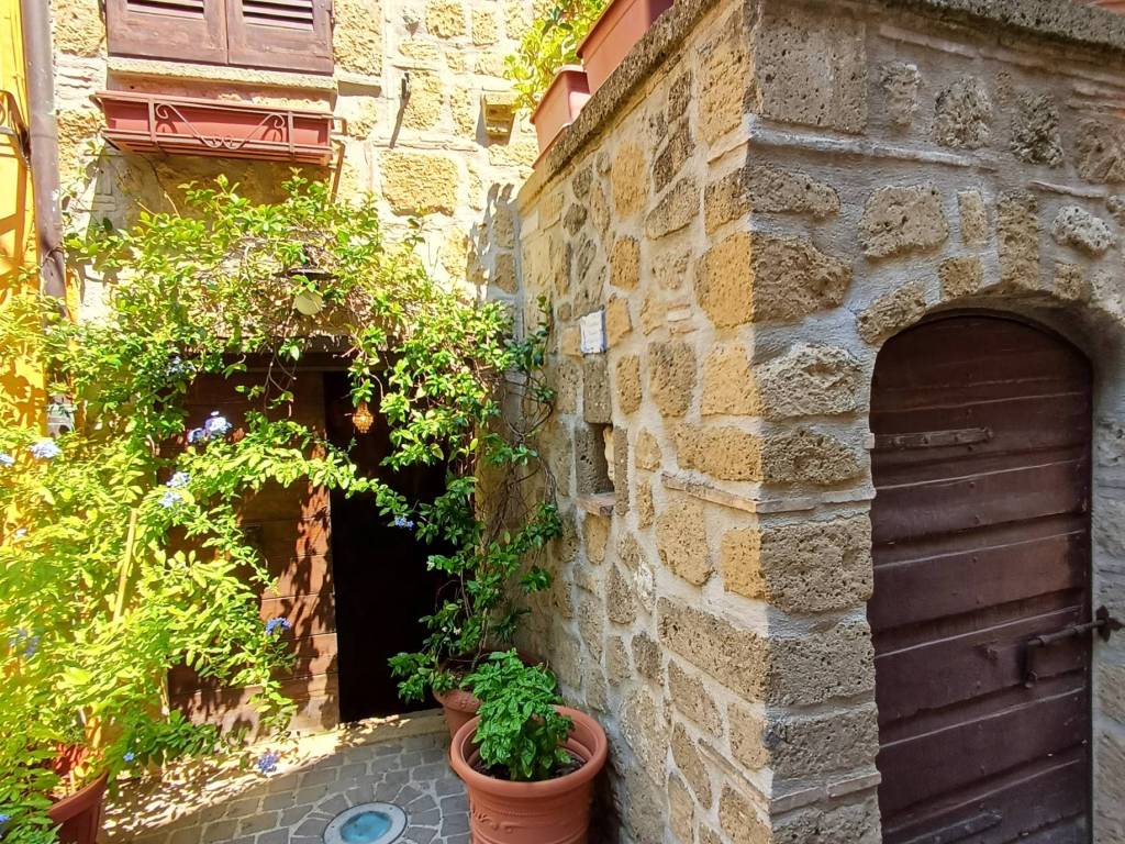 Loft / open space a Farnese in Via Giuseppe Mazzini, 235 - Foto 3