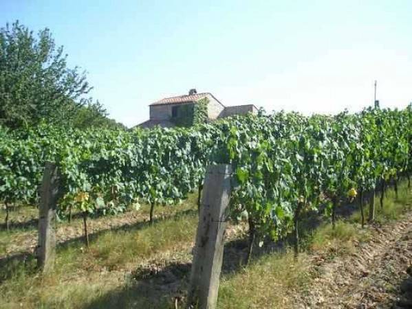 Rustico / casale a Roccastrada - Foto 4