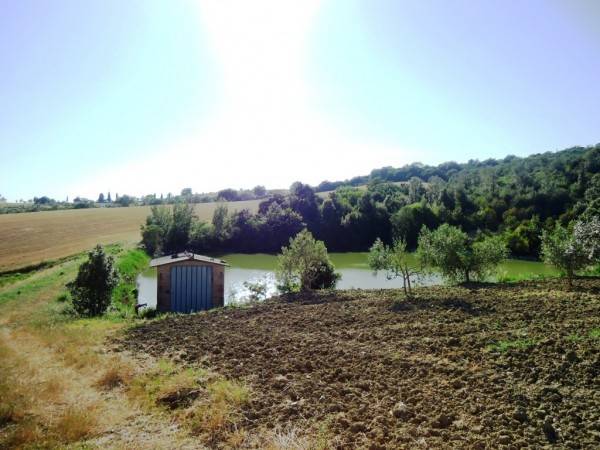 Rustico / casale a Scansano - Foto 3