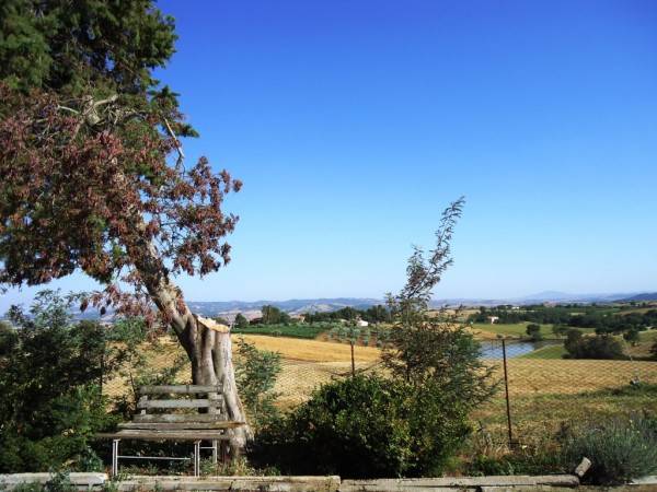 Rustico / casale a Scansano - Foto 5