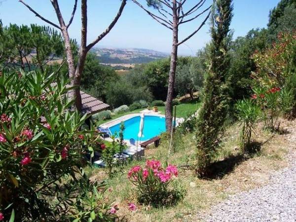 Rustico / casale a Scansano - Foto 2