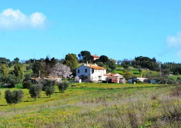 Rustico / casale a Grosseto in Strada Provinciale delle Conce - Foto 5