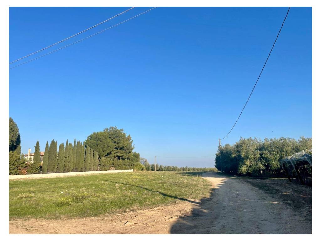 Terreno a Barletta - Foto 2