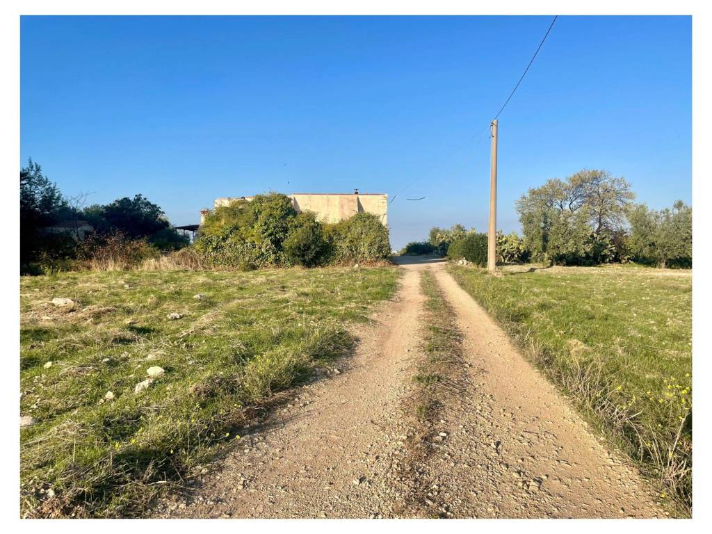 Terreno a Barletta - Foto 3