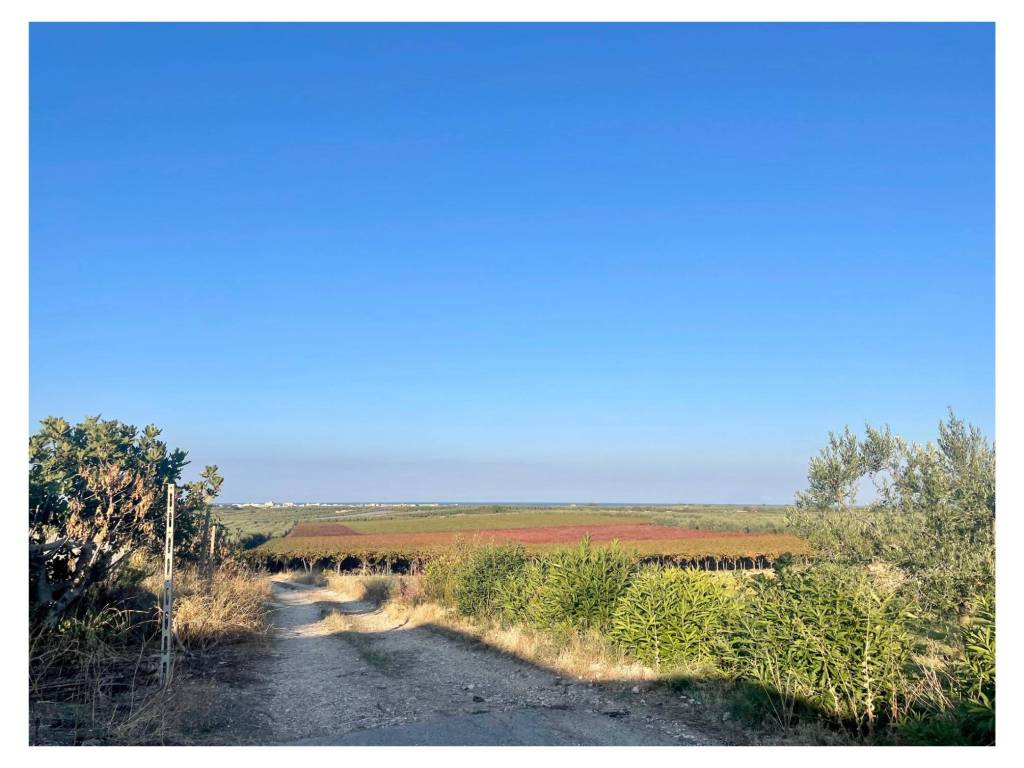 Terreno a Barletta - Foto 4
