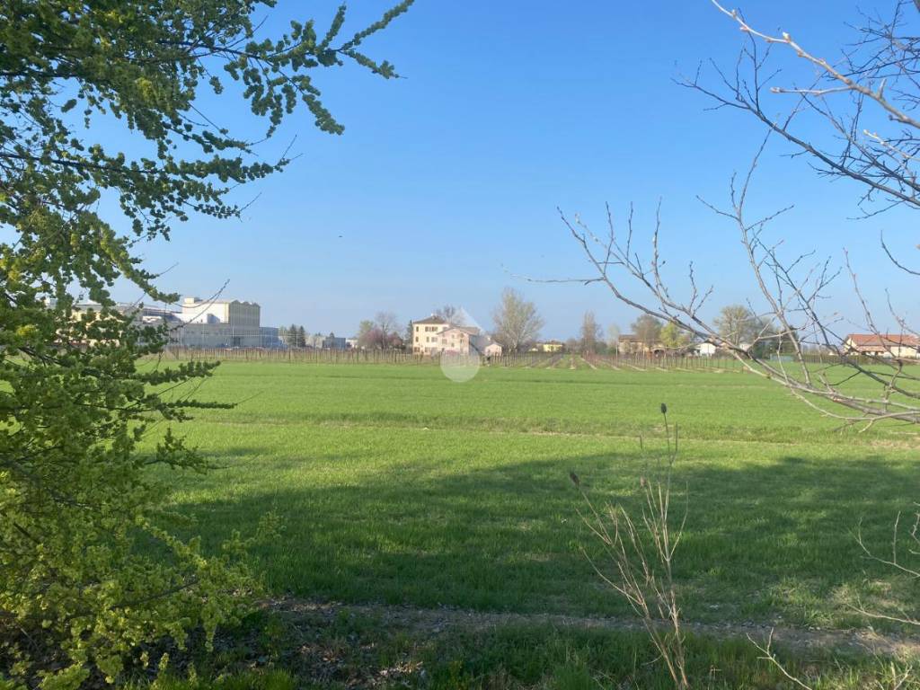 Terreno a Correggio in Via ardione, 1 - Foto 4