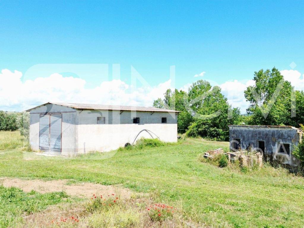 Rustico / casale a Montalto di castro in Località Gorello - Foto 2