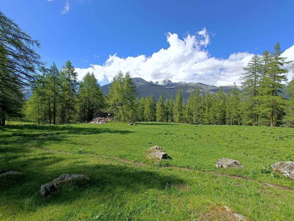 Rustico / casale a Sampeyre in Borgata Te Nou, snc - Foto 5