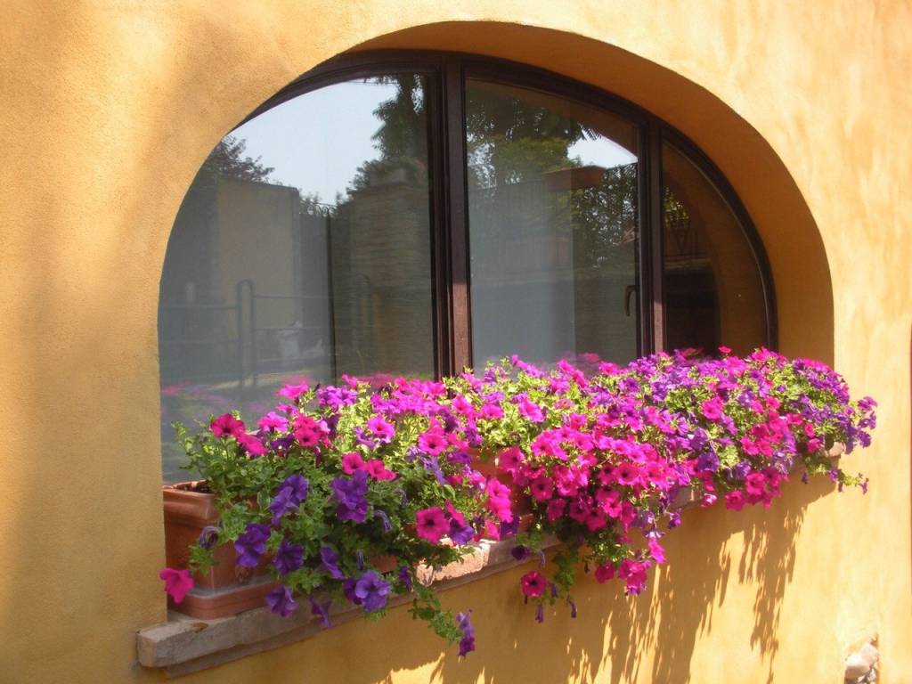 Casa indipendente a Parma in malandriano - Foto 5