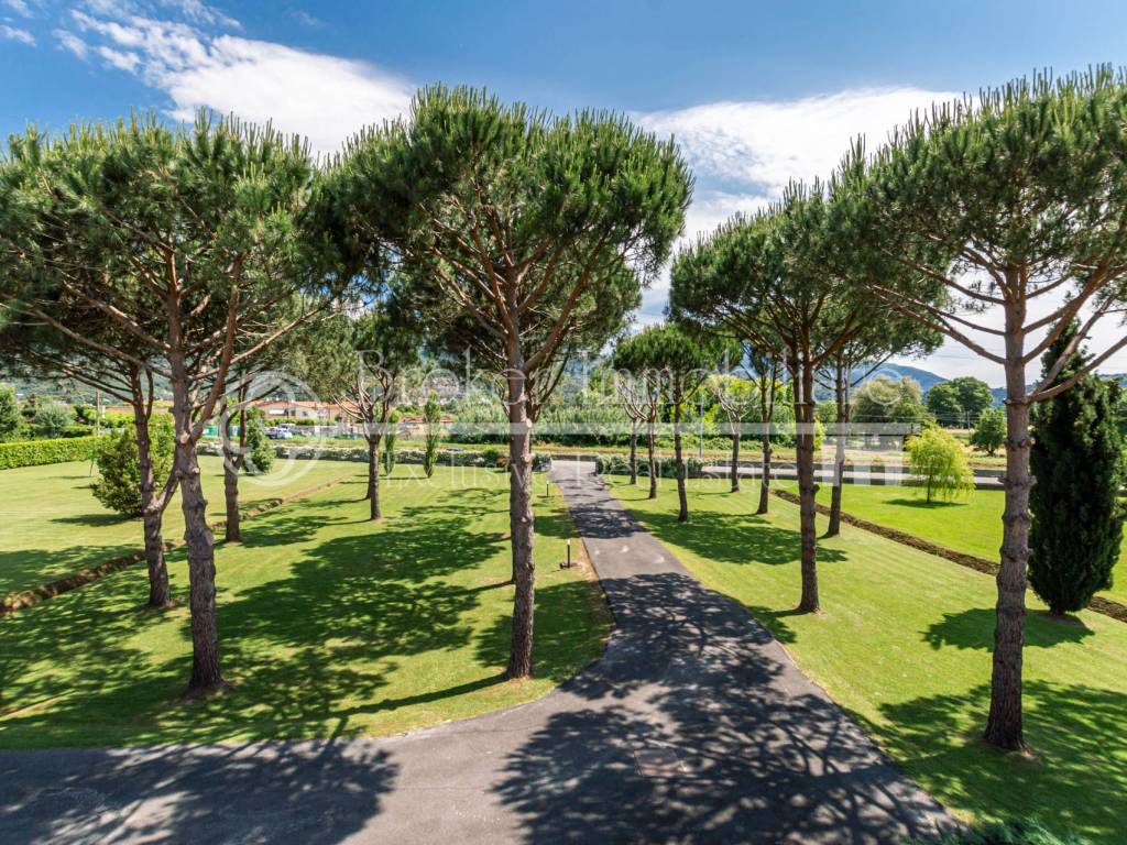 Villa a Pietrasanta in Via Padule - Foto 4
