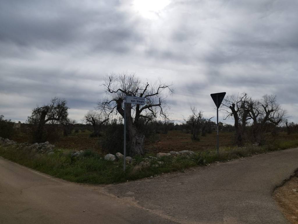 Terreno a Galatone in Strada Comunale San Biagio - Foto 2
