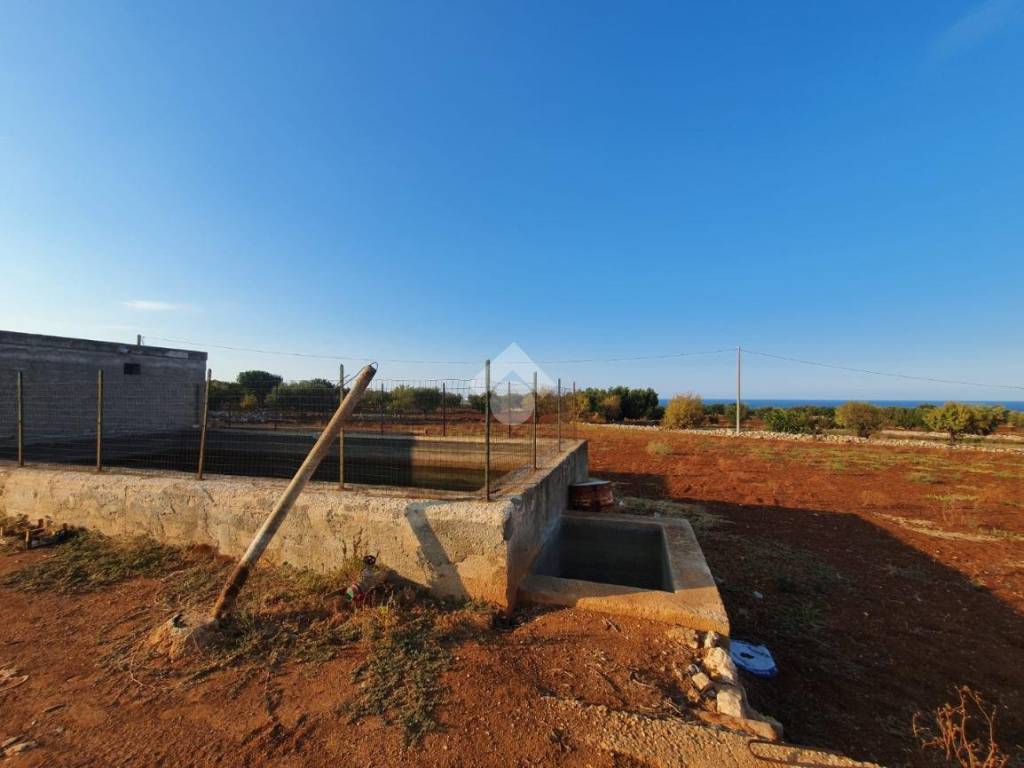 Terreno a Polignano a mare in contrada macchia bruciata - Foto 3