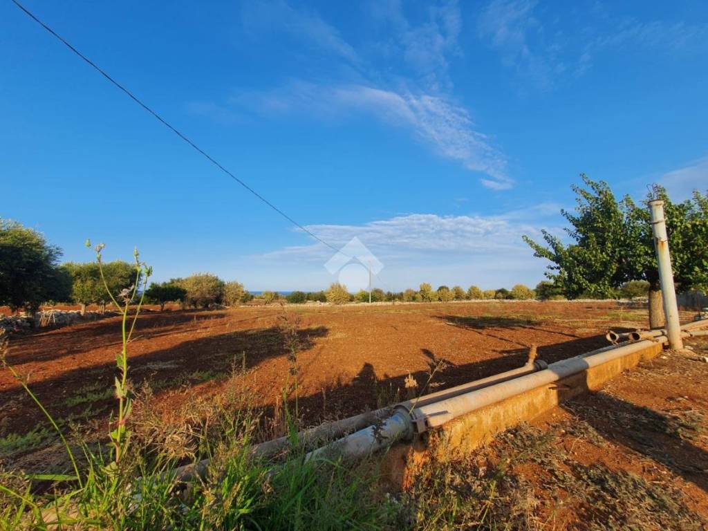 Terreno a Polignano a mare in contrada macchia bruciata - Foto 4